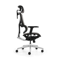 HKM-142163 Ergonomic Office Chair with 3D Adjustable Armrests and High Back Support