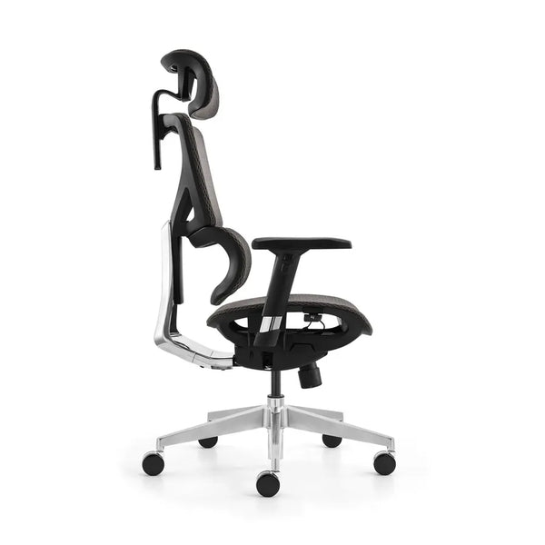 HKM-142163 Ergonomic Office Chair with 3D Adjustable Armrests and High Back Support