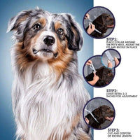 HKM-1421757 Rainbow Pet Flea and Anti-Lice Collar for Cats and Dogs - 38CM and 62CM Options