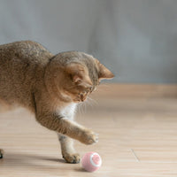 HKM-1426365 Rechargeable Automatic Smart Cat Toy Ball for Indoor Play – Bouncing & Rolling Fun for Kittens