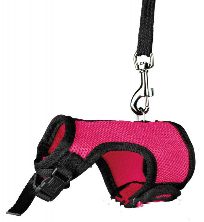 HKM-1427005 Small Pet Leash for Comfortable Walking ¨C Durable Nylon, Multiple Sizes Available
