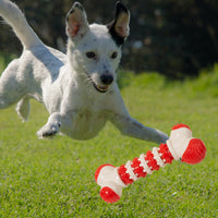 HKM-1428797 Bone-Shaped Interactive Dog Toy for Small Breeds - Chewable Teething Toy with Treat Holder for Training and Play