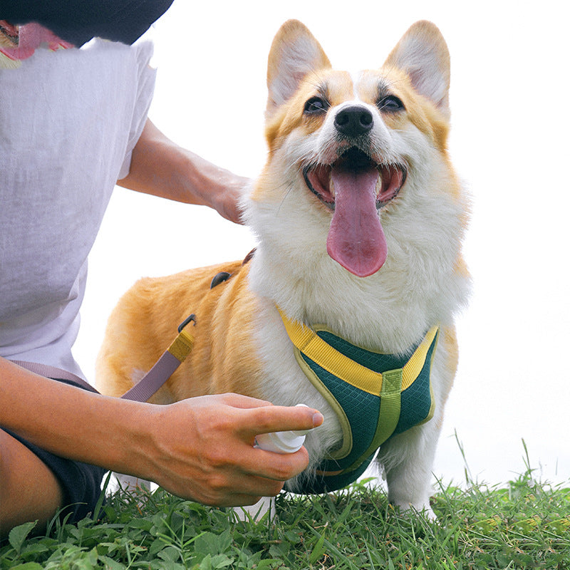 HKM-1430589 Colourful Cloth Harness and Leash Set for Pets with Adjustable Sizes XS to XL