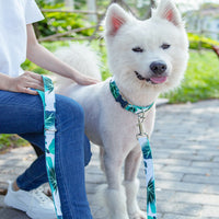 HKM-1431101 Durable Polyester Dog Collar and Traction Belt Set with Adjustable Lengths
