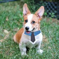 HKM-1432765 Adjustable Denim Pet Collar with Star Pattern - Comfortable Necktie for Special Occasions
