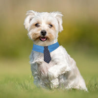 HKM-1432765 Adjustable Denim Pet Collar with Star Pattern - Comfortable Necktie for Special Occasions