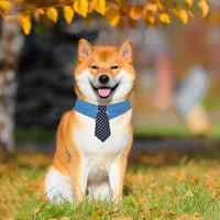 HKM-1432765 Adjustable Denim Pet Collar with Star Pattern - Comfortable Necktie for Special Occasions