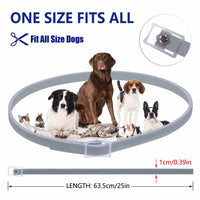 HKM-1433277 Gray Dog Collar with Flea and Mosquito Repellent Features