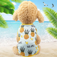 HKM-1433661 Couple Mesh Pet Outfit - Dog and Cat Skirt T-Shirt Vest, Various Sizes