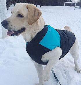 HKM-1435453 Breathable Dog Outdoor Coat for Autumn and Winter - Casual Vest in Multiple Sizes and Colors