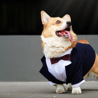 HKM-1436861 Navy Blue Swallowtail Dress Shirt for Dogs - Stylish Suit Design