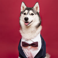 HKM-1436861 Navy Blue Swallowtail Dress Shirt for Dogs - Stylish Suit Design
