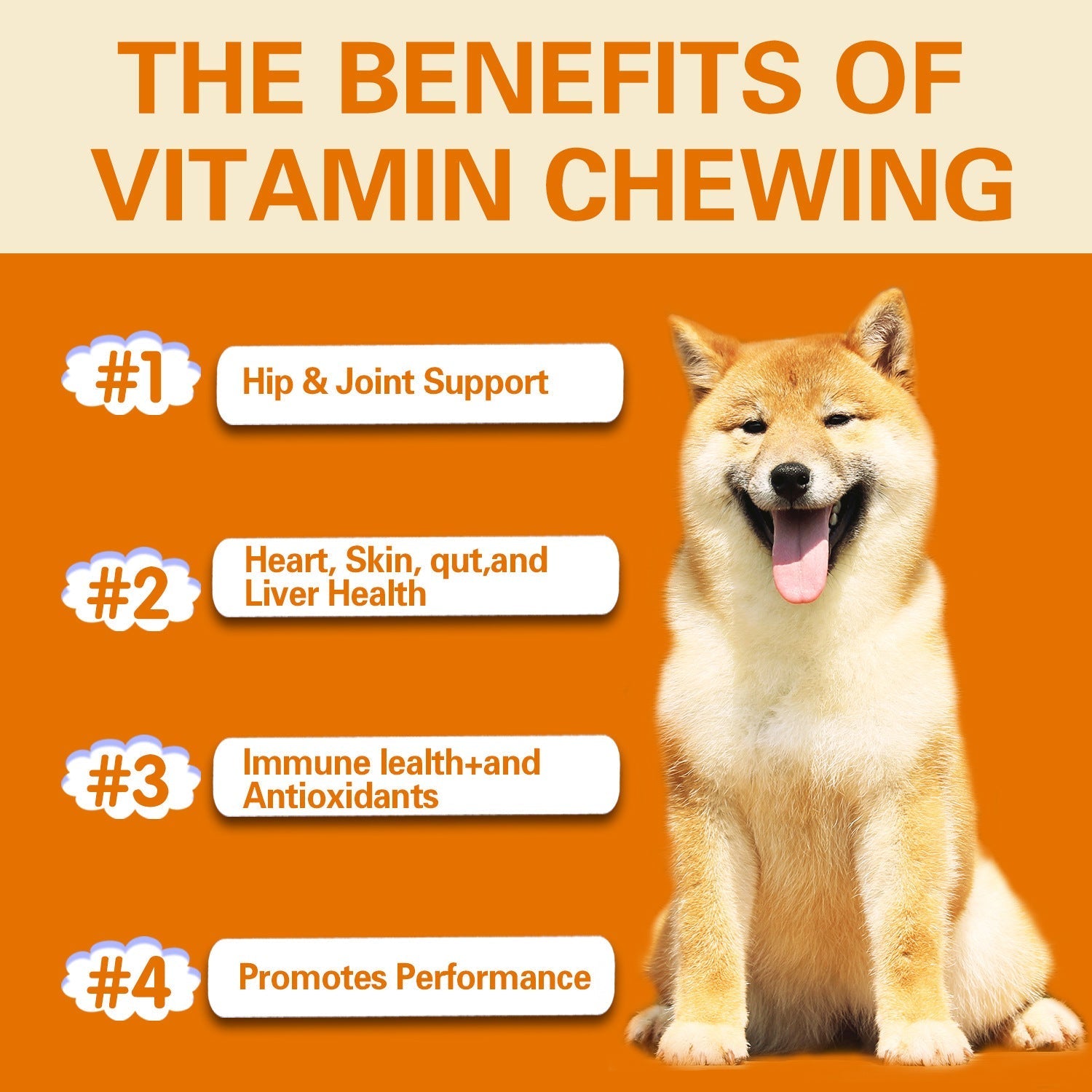 HKM-1437117 Multifunctional Health Supplement for Dogs - 300g Pet Vitamin Care