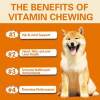HKM-1437117 Multifunctional Health Supplement for Dogs - 300g Pet Vitamin Care