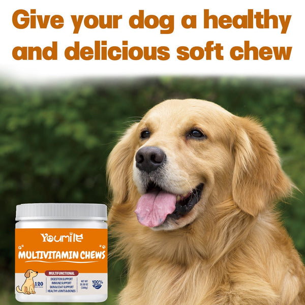 HKM-1437117 Multifunctional Health Supplement for Dogs - 300g Pet Vitamin Care