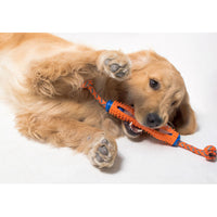 HKM-1437885 Soft Rubber Dog Toothbrush Stick for Effective Teeth Cleaning - 20cm, Available in Blue, Green, Orange, Pink
