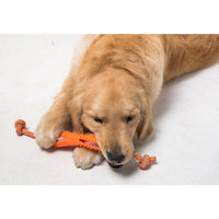 HKM-1437885 Soft Rubber Dog Toothbrush Stick for Effective Teeth Cleaning - 20cm, Available in Blue, Green, Orange, Pink