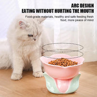 HKM-1438525 Elevated Ceramic Pet Bowl with Floral Design for Comfortable Feeding for Cats and Small Dogs