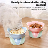 HKM-1438525 Elevated Ceramic Pet Bowl with Floral Design for Comfortable Feeding for Cats and Small Dogs
