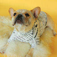 HKM-1439421 French and British Style Knitted Dog Clothes in Polyester - Two-Legged Pet Apparel