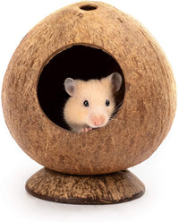 HKM-144595 Coconut Shell Nest for Hamsters and Small Animals - Natural Habitat with Base