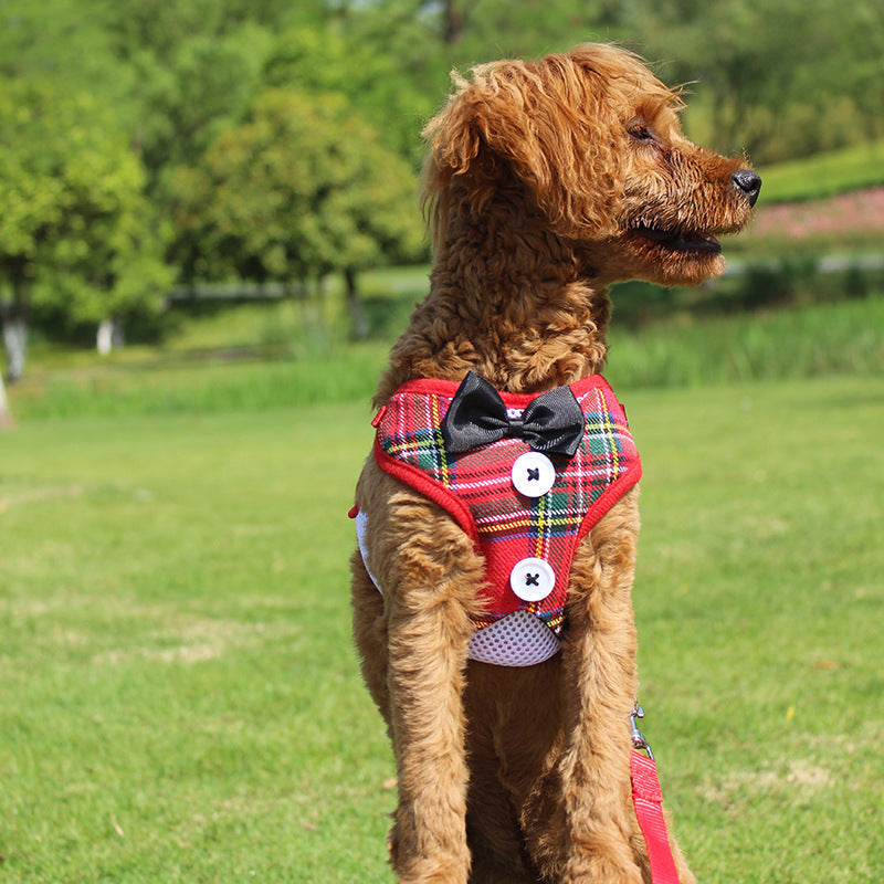 HKM-1451837 Elegant Bow Vest-Style Dress for Small Dogs with Adjustable Chest Strap and Leash