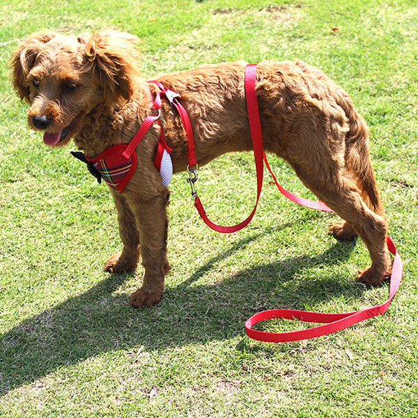 HKM-1451837 Elegant Bow Vest-Style Dress for Small Dogs with Adjustable Chest Strap and Leash