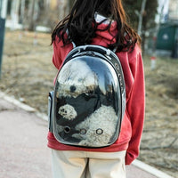 HKM-1454781 Expandable Transparent Mesh Pet Backpack for Pets Up to 6kg - Various Colors Available