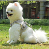 HKM-1458109 Lightweight Dog Traction Rope Vest with 1.2m Flat Rope in Multiple Colors for Small Breeds