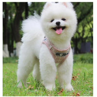 HKM-1458109 Lightweight Dog Traction Rope Vest with 1.2m Flat Rope in Multiple Colors for Small Breeds