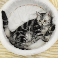 HKM-1462333 Warm Plush Velvet Semi-Enclosed Pet Nest for Dogs - Available in Milk Tea and Ramen Colors, Sizes 40cm, 50cm, 55cm