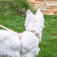 HKM-1463869 Pet Chest Harness and Leash with Lattice Design - Available in Plaid Orange and Matcha Green