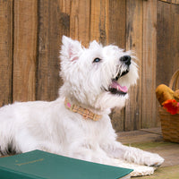 HKM-1463869 Pet Chest Harness and Leash with Lattice Design - Available in Plaid Orange and Matcha Green