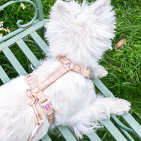 HKM-1463869 Pet Chest Harness and Leash with Lattice Design - Available in Plaid Orange and Matcha Green