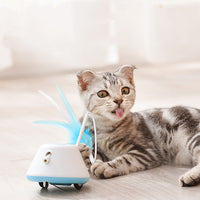HKM-1464893 LED Infrared Cat Toy Stick - Interactive Plastic Pet Play Tool in Pink and Green