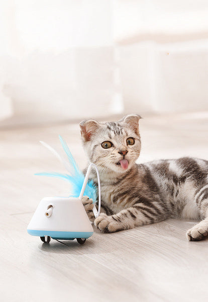 HKM-1464893 LED Infrared Cat Toy Stick - Interactive Plastic Pet Play Tool in Pink and Green