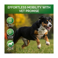 HKM-1469885 Hip & Joint Health Chewable Tablets for Pets with Chondroitin - 300g