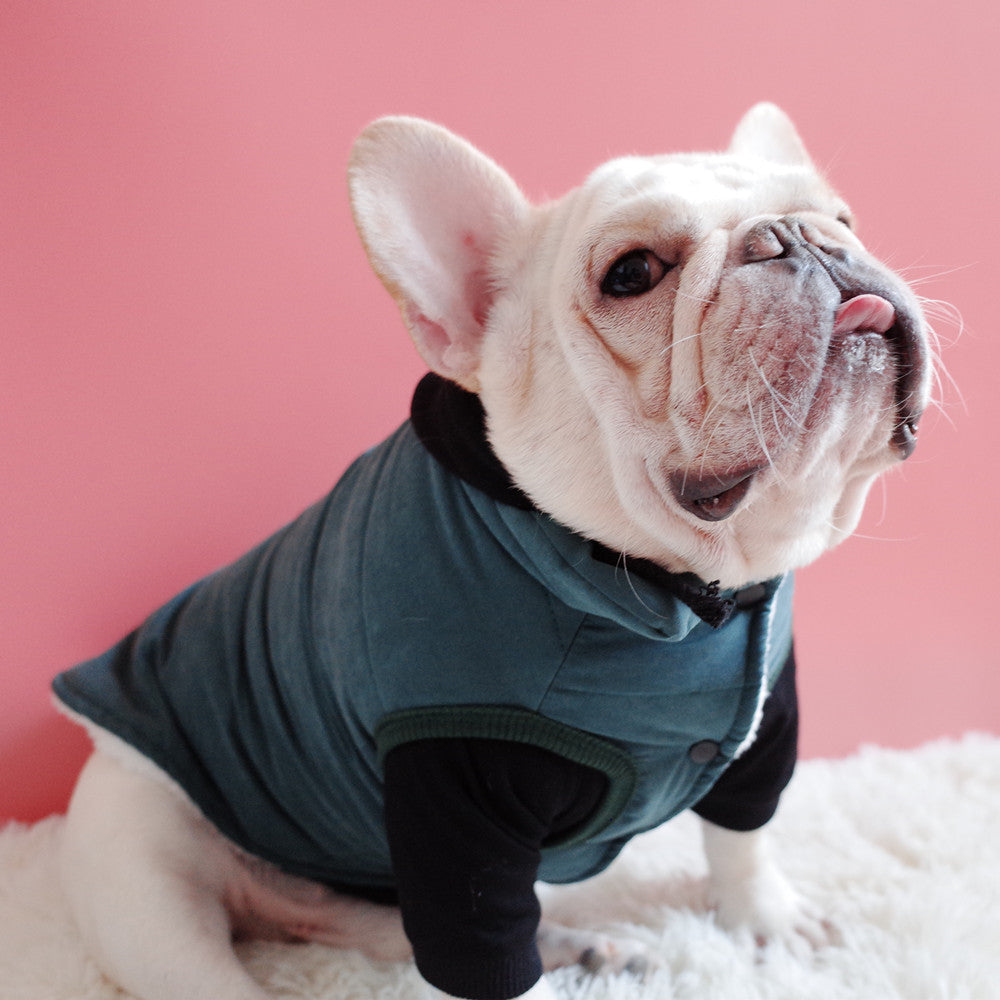 HKM-1474237 Warm Thickened Cotton Vest for Dogs in Dark Green, Navy Blue, Gray – Perfect Winter Wear