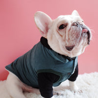 HKM-1474237 Warm Thickened Cotton Vest for Dogs in Dark Green, Navy Blue, Gray – Perfect Winter Wear