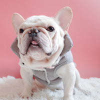 HKM-1474237 Warm Thickened Cotton Vest for Dogs in Dark Green, Navy Blue, Gray – Perfect Winter Wear