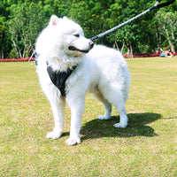 HKM-1479357 Adjustable Retractable Leash for Medium Dogs - 75cm to 150cm, Durable Nylon Towing Rope