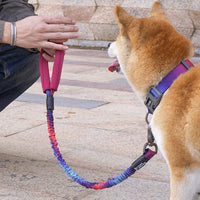 HKM-1479357 Adjustable Retractable Leash for Medium Dogs - 75cm to 150cm, Durable Nylon Towing Rope