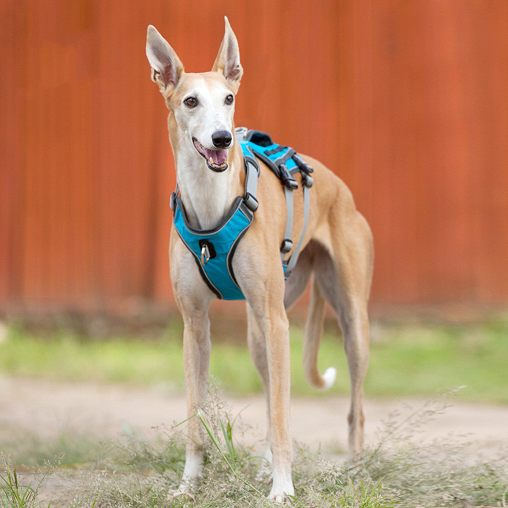 HKM-1484605 Reflective and Breathable Pet Chest Harness with Adjustable Traction Rope