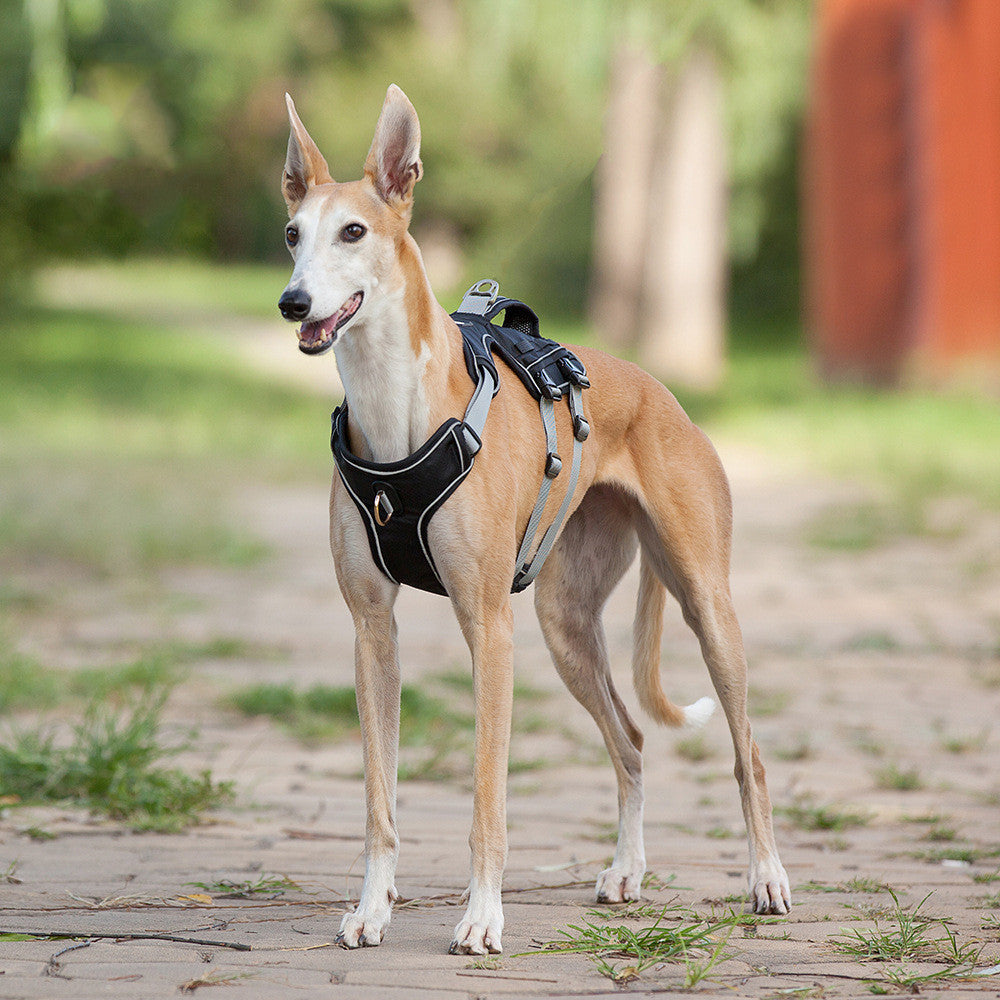 HKM-1484605 Reflective and Breathable Pet Chest Harness with Adjustable Traction Rope
