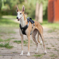HKM-1484605 Reflective and Breathable Pet Chest Harness with Adjustable Traction Rope