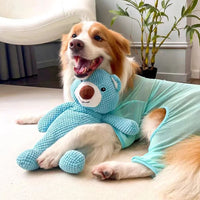 HKM-1484989 Soft Plush Bear Squeaky Toy for Dogs - Chew and Dental Training Aid for Puppies