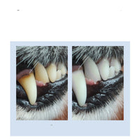 HKM-1486909 Universal Edible Toothpowder for Pet Dental Care