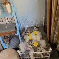HKM-1489725 Cozy High-Density Sponge Pet Bed with Washable Cotton Cover - Sizes M, L, XL Available