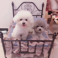 HKM-1489725 Cozy High-Density Sponge Pet Bed with Washable Cotton Cover - Sizes M, L, XL Available