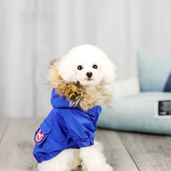 HKM-1490749 Cozy Polyester and Cotton Pet Dog Wool Hat for Stylish Comfort